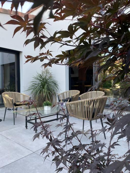 Villa Moderne Avec Piscine 阿尔比 外观 照片