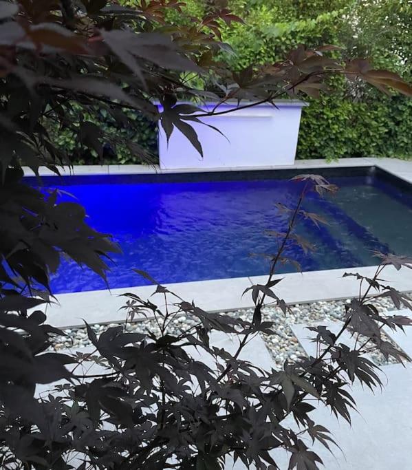 Villa Moderne Avec Piscine 阿尔比 外观 照片